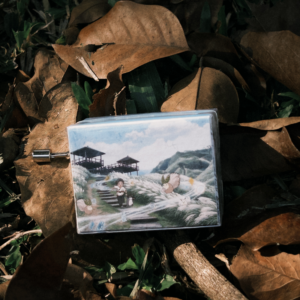 指尖下的海洋電台|聚.拾光.記趣:手搖故事音樂盒